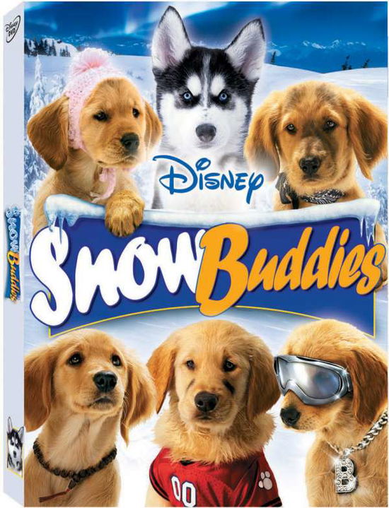 Cover for Snow Buddies (DVD) (2008)