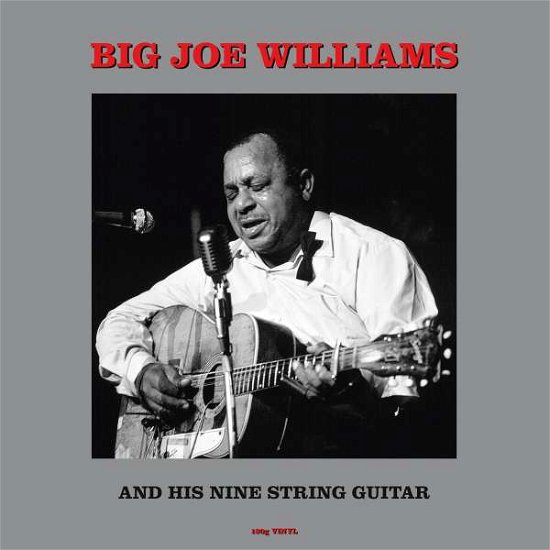 Cover for Big Joe Williams · And His Nine String Guitar (LP) (2022)