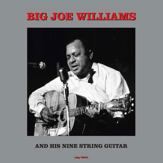 And His Nine String Guitar - Big Joe Williams - Muziek - NOT NOW MUSIC - 5060397602312 - 11 maart 2022