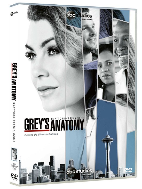 Cover for Grey's Anatomy · Stagione 14 (DVD)