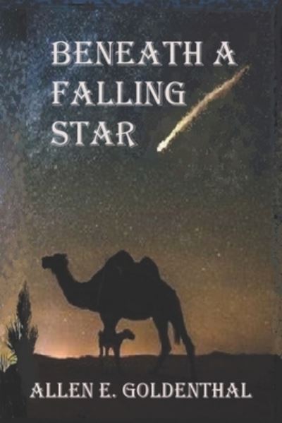 Cover for Allen E Goldenthal · Beneath A Falling Star (Pocketbok) (2020)