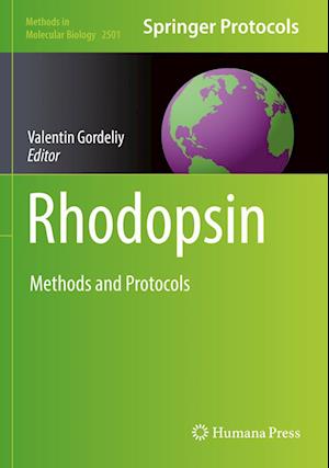 Rhodopsin: Methods and Protocols - Methods in Molecular Biology - - Livros - Springer-Verlag New York Inc. - 9781071623312 - 22 de julho de 2023