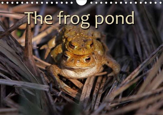Cover for Berg · The Frog Pond / UK-Version (Wall C (Book)
