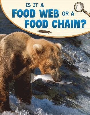 Cover for Emily Sohn · Is It a Food Web or a Food Chain? - Science Enquiry (Inbunden Bok) (2022)