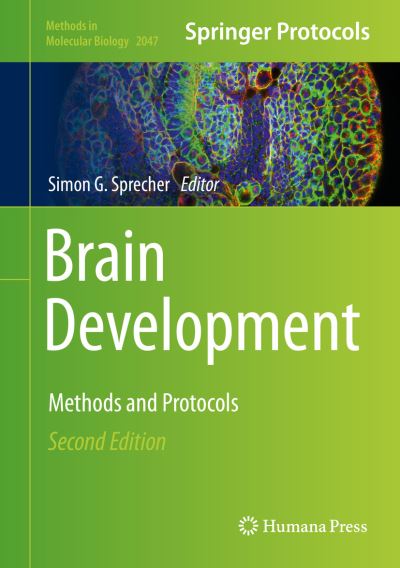 Cover for Brain Development (Book) [2nd ed. 2020 edition] (2019)