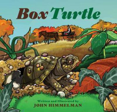 Cover for John Himmelman · Box Turtle (Hardcover Book) (2018)