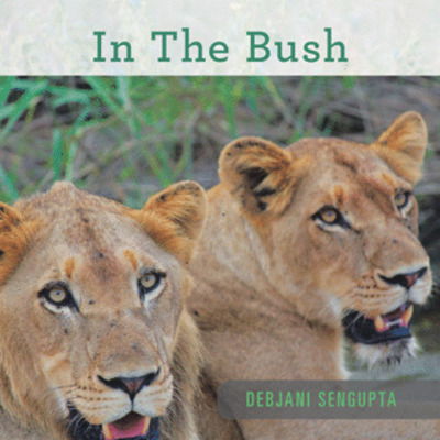 Cover for Debjani SenGupta · In the Bush (Paperback Book) (2019)