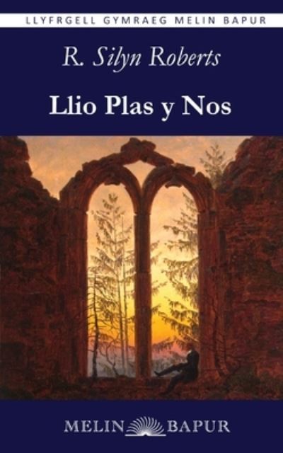 Cover for R. Silyn Roberts · Llio Plas y Nos (Paperback Book) [New edition] (2024)