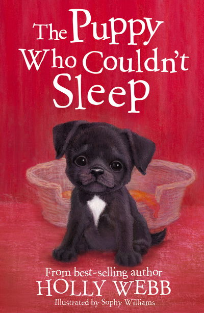 The Puppy Who Couldn't Sleep - Holly Webb Animal Stories - Holly Webb - Kirjat - Little Tiger Press Group - 9781788950312 - torstai 4. huhtikuuta 2019