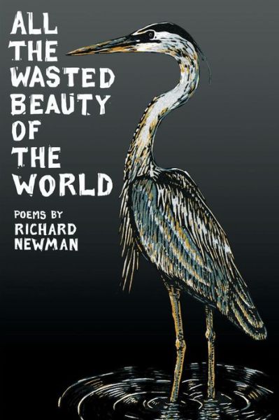 Cover for Professor Richard Newman · All the Wasted Beauty of the World (Paperback Book) (2014)