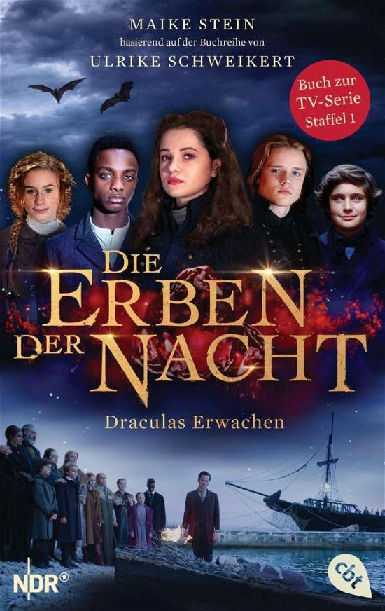 Cover for Stein · Die Erben der Nacht - Draculas Er (Bok)