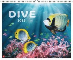 Cover for Delius Klasing Vlg GmbH · Dive 2023 (Calendar) (2022)