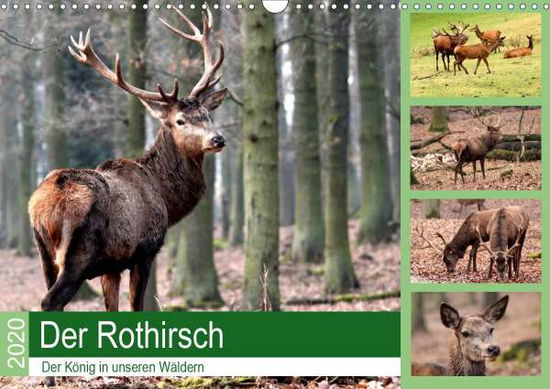 Cover for Klatt · Der Rothirsch - Der König in unse (Book)