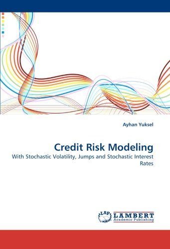 Cover for Ayhan Yuksel · Credit Risk Modeling: with Stochastic Volatility, Jumps and Stochastic Interest Rates (Pocketbok) (2010)