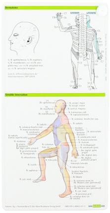 Cover for Sebastian von Stuckrad-Barre · Neurologie pocketcard Set (Paperback Book) (2021)