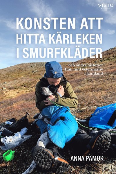 Konsten att hitta kärleken i smurfkläder - Anna Pamuk - Books - Visto Förlag - 9789178856312 - January 26, 2022