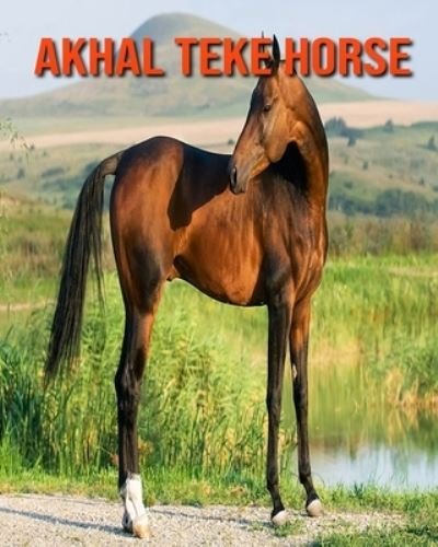 Cover for Kayla Miller · Akhal Teke Horse (Pocketbok) (2020)