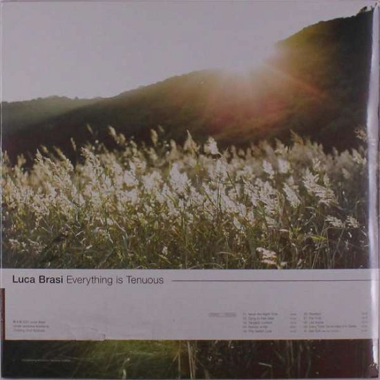 Cover for Luca Brasi · Everything Is Tenuous (LP) (2021)
