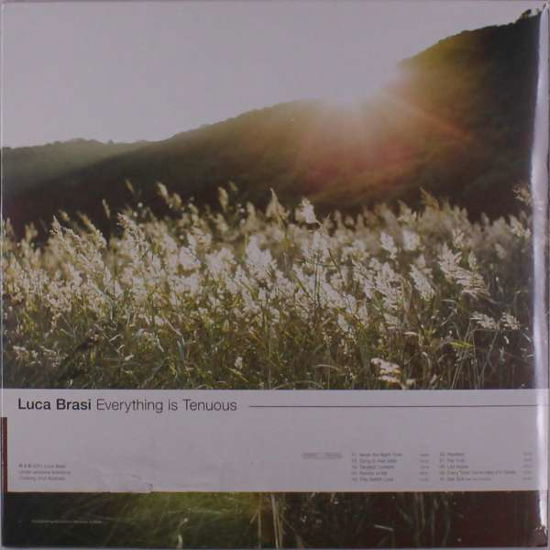Everything Is Tenuous - Luca Brasi - Musikk - SONY MUSIC ENTERTAINMENT - 0194398227313 - 12. februar 2021