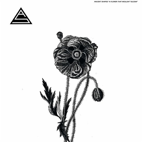 Cover for Ancient Shapes · Flower That Wouldn't Bloom (LP) (2019)
