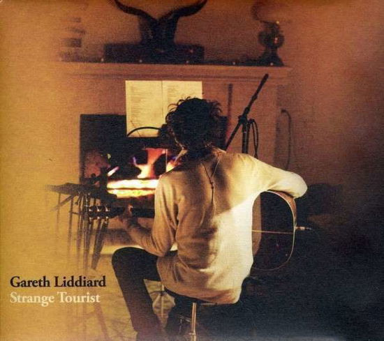 Cover for Gareth Liddiard · Strange Tourist (LP) (2012)