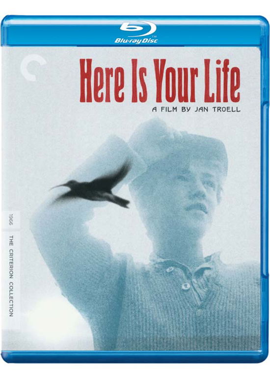 Cover for Criterion Collection · Here is Your Life/bd (Blu-ray) [Widescreen edition] (2015)