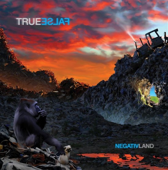 Cover for Negativland · True False (LP) (2019)