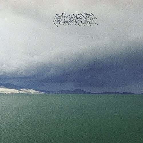 Cover for Modest Mouse · Fruit That Ate Itself (LP) (1990)