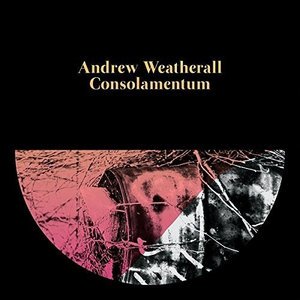 Cover for Andrew Weatherall · Consolamentum (LP) (2016)