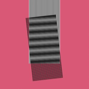 Cover for Hot Chip · Why Make Sense? (LP) (2015)