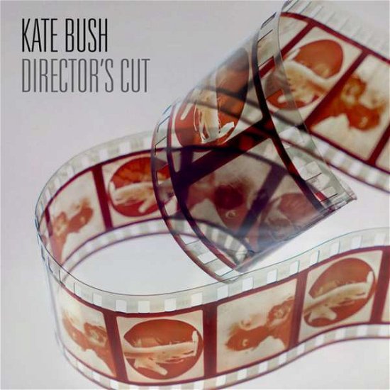 Cover for Kate Bush · Director's Cut (LP) [180 gram edition] (2011)