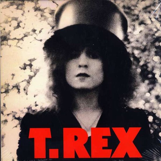 Cover for T. Rex · Slider (LP) [High quality vinyl edition] (2003)