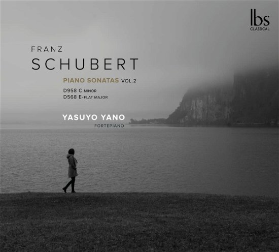 Cover for Yano · Franz Schubert: Piano Sonatas / Vol. 2 (CD) (2022)