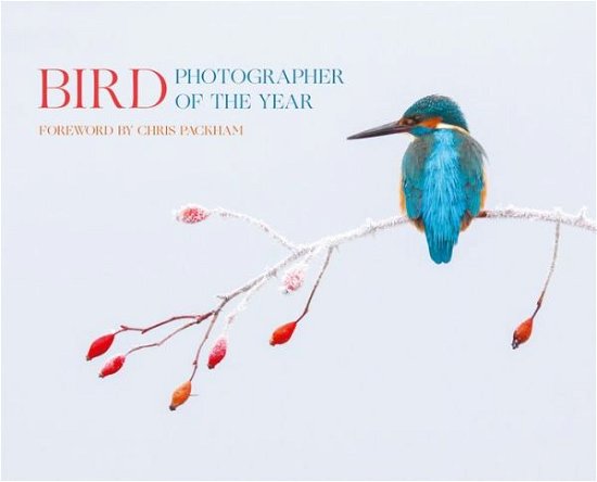 Cover for Bird Photographer of the Year · Bird Photographer of the Year: Collection 2 (Gebundenes Buch) (2017)