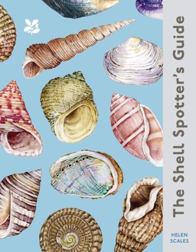 Cover for Helen Scales · The Shell Spotter’s Guide - National Trust (Innbunden bok) (2024)