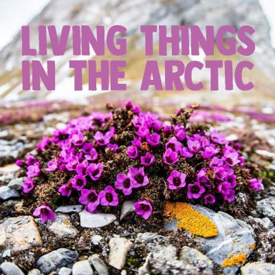 Cover for Arvaaq Press · Living Things in the Arctic: English Edition - Nunavummi Reading Series (Paperback Book) [English edition] (2019)