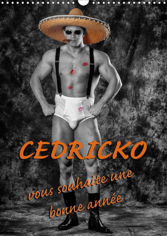 Cover for Planche · CEDRICKO vous souhaite une bonn (Bok)