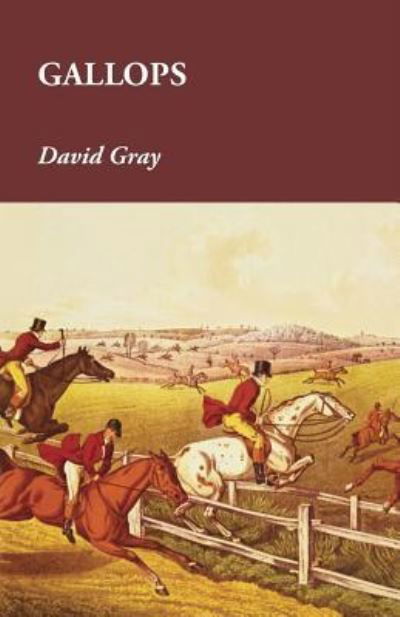 Cover for David Gray · Gallops (Paperback Bog) (2015)