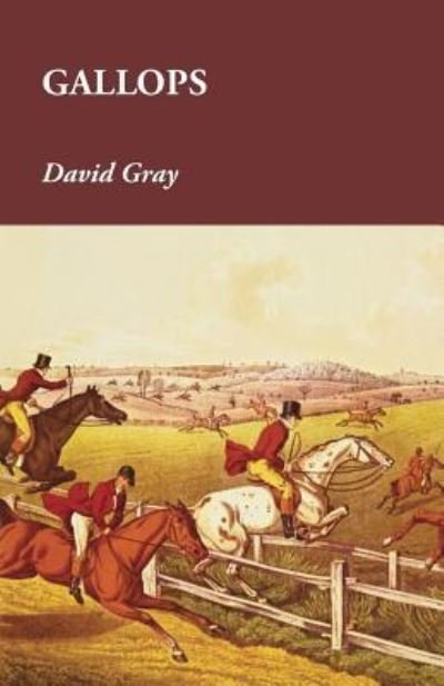 Cover for David Gray · Gallops (Paperback Book) (2015)