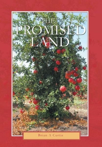 Cover for Brian a Curtis · The Promised Land (Hardcover Book) (2013)