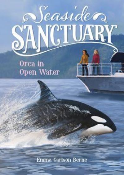 Orca in Open Water - Emma Carlson Berne - Książki - Stone Arch Books - 9781496580313 - 2 stycznia 2019