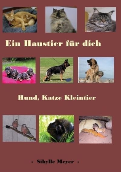 Cover for Sibylle Meyer · Ein Haustier fur dich (Paperback Book) (2014)