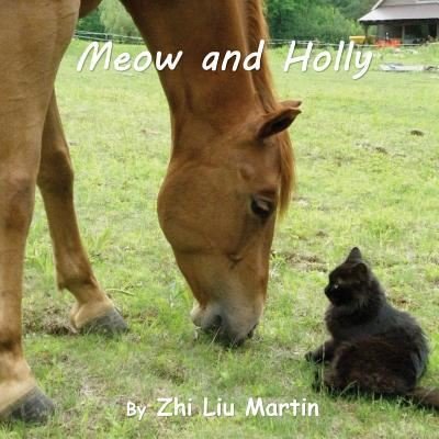 Cover for Zhi Liu Martin · Meow and Holly (Pocketbok) (2017)