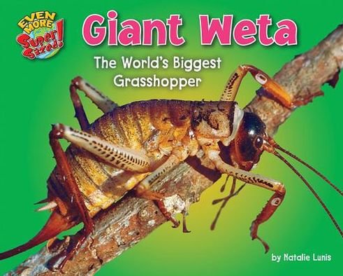 Cover for Natalie Lunis · Giant Weta: the World's Biggest Grasshopper (Even More Supersized!) (Inbunden Bok) (2013)