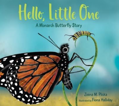 Cover for Zeena M. Pliska · Hello, Little One: A Monarch Butterfly Story (Hardcover Book) (2020)