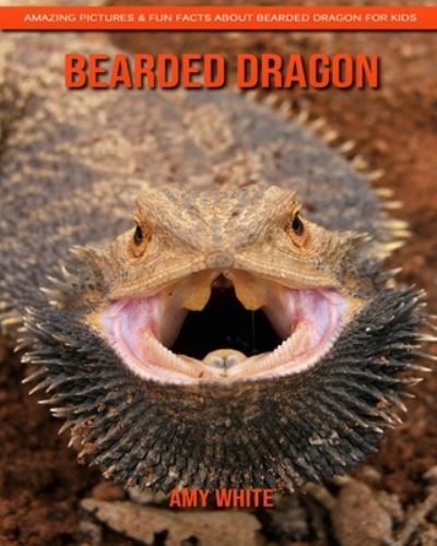 Cover for Amy White · Bearded Dragon (Paperback Book) (2020)