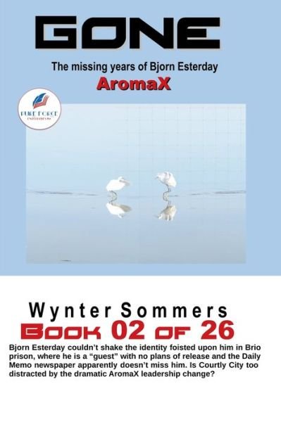 Wynter Sommers · GONE Book 02 (Bok) (2024)