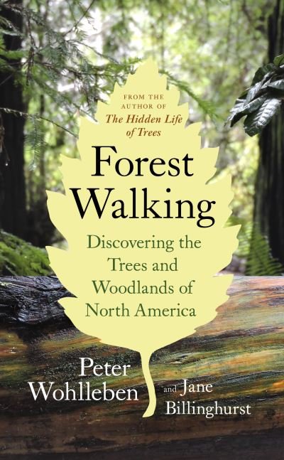 Forest Walking : Discovering the Trees and Woodlands of North America - Peter Wohlleben - Other - Greystone Books Ltd. - 9781771643313 - April 26, 2022