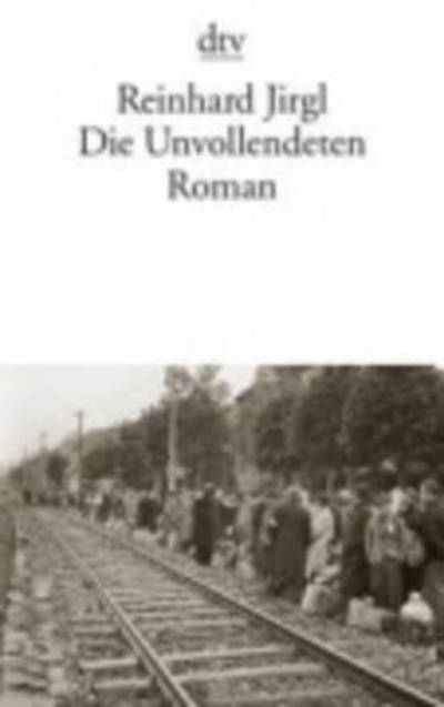 Cover for Reinhard Jirgl · Dtv Tb.13531 Jirgl.unvollendeten (Book)