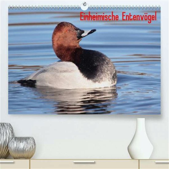 Cover for Erlwein · Einheimische Entenvögel (Premiu (Book)